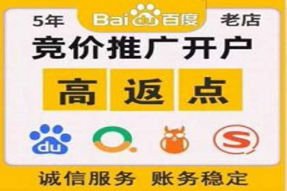 成功案例解读：SEM推广代运营策略