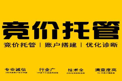 专业SEM托管，案例分析效果显著